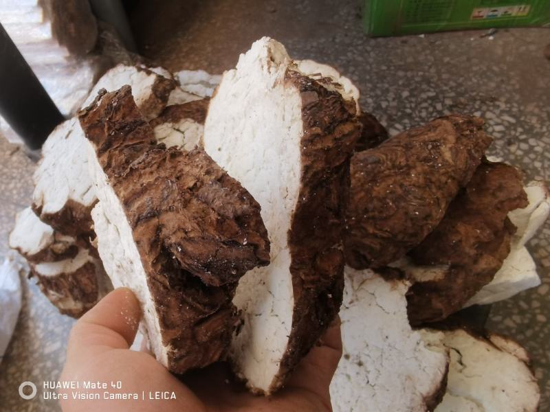 【精品】云南无硫全手工茯苓坨茯苓片茯神片源头产地发货