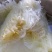 米线瓜种四季种易活包邮鱼翅瓜粉丝阳台种菜盆栽庭院