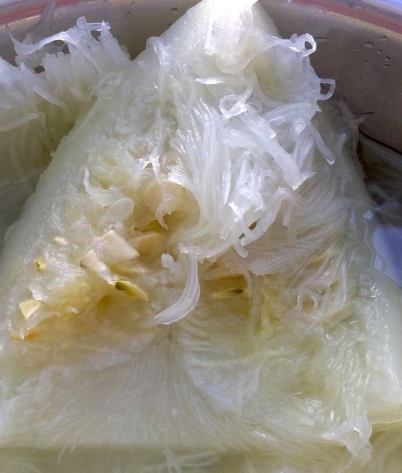米线瓜种四季种易活包邮鱼翅瓜粉丝阳台种菜盆栽庭院
