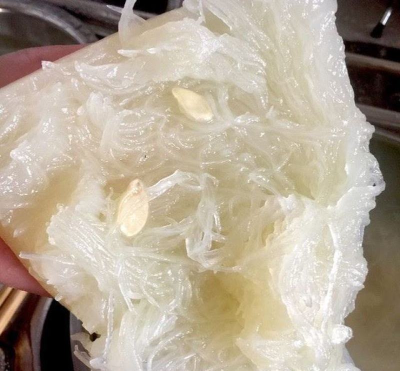 米线瓜种四季种易活包邮鱼翅瓜粉丝阳台种菜盆栽庭院