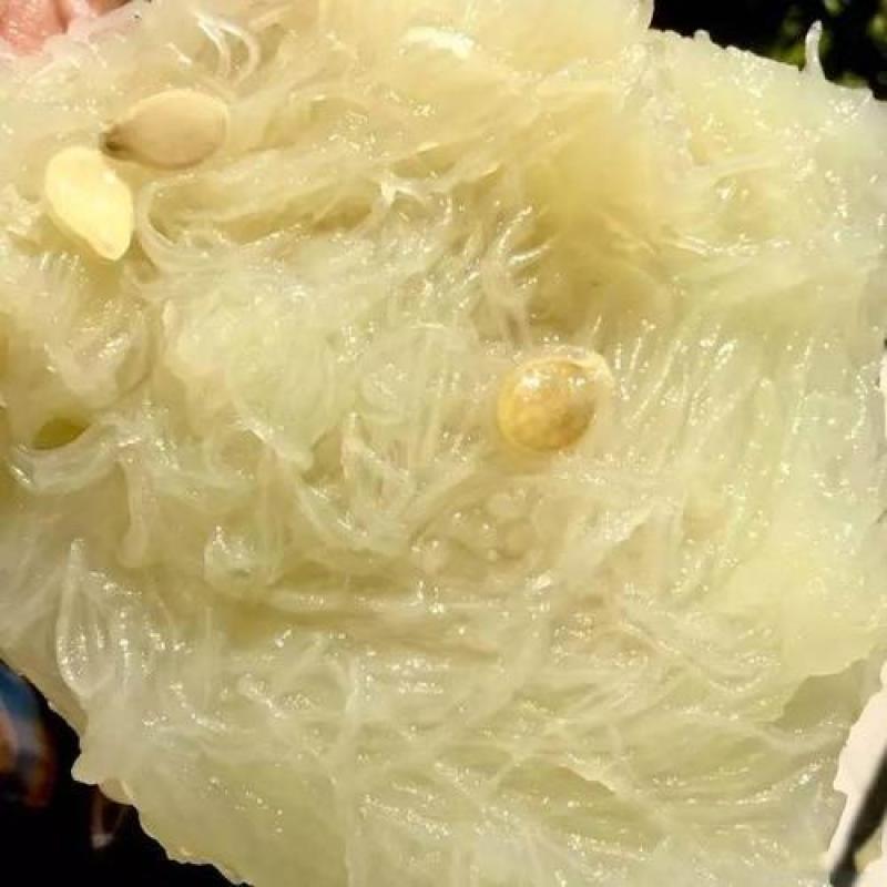 米线瓜种四季种易活包邮鱼翅瓜粉丝阳台种菜盆栽庭院