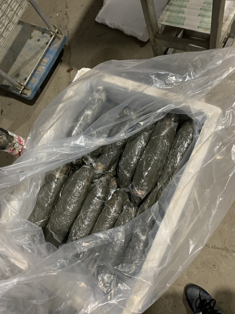 洪湖莲藕粉藕真空莲藕真空包装量大从优