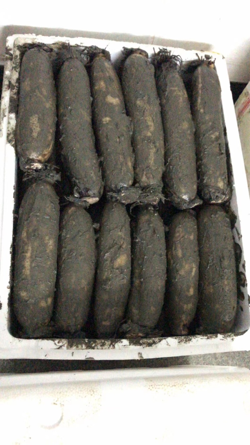 洪湖莲藕粉藕真空莲藕真空包装量大从优