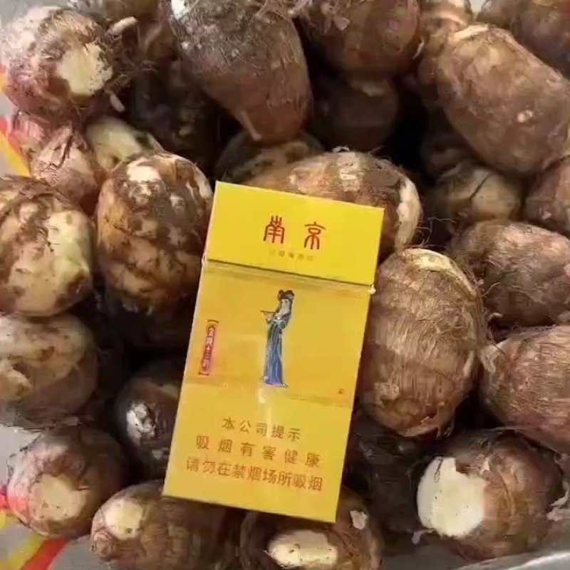 毛芋头【芋头精品芋头】产地直供坏烂包赔视频发货全国物流直