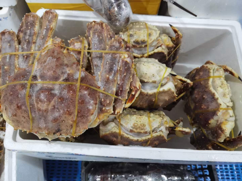 生冻帝王蟹，精品货