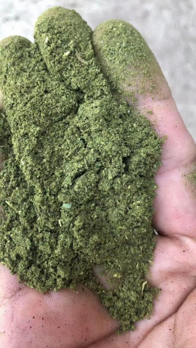 青麻椒粉红麻椒粉叶粉五香粉黑白胡椒粉等等