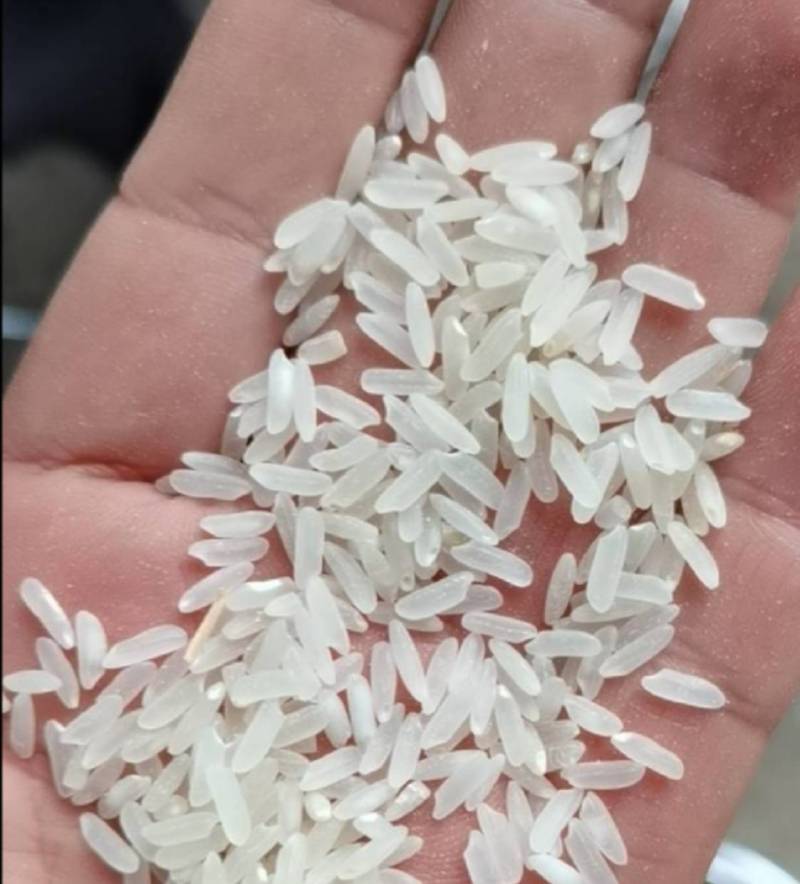 竹稻中华竹稻，晚稻