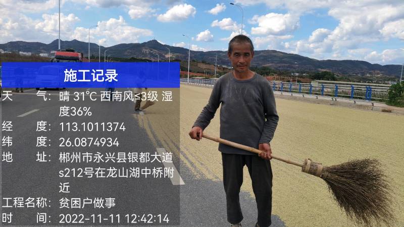 竹稻中华竹稻，晚稻
