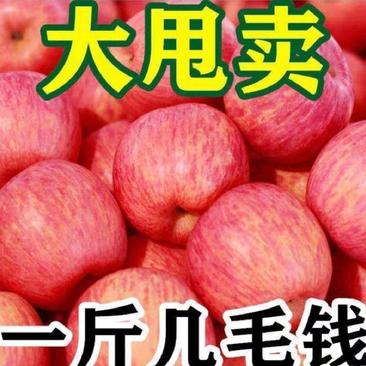 [推荐商家]红富士苹果产地，果园现采摘，口感脆甜常年供应