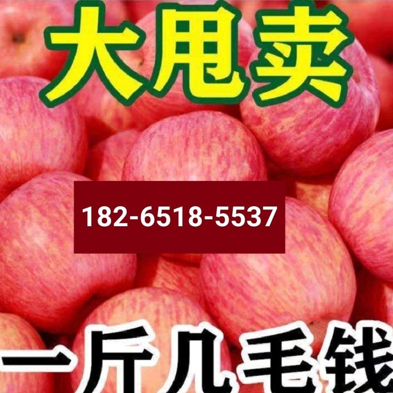 [推荐商家]红富士苹果产地，果园现采摘，口感脆甜常年供应