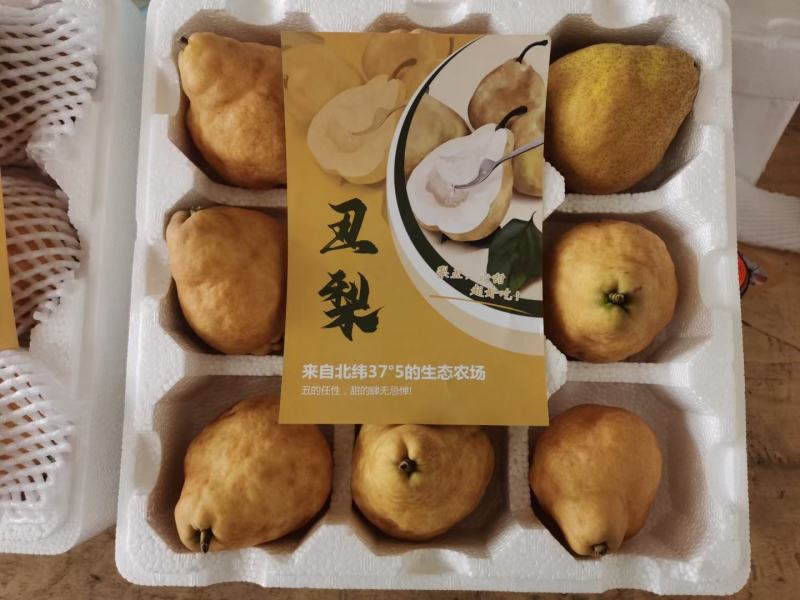 中华丑梨一件代发电商微商直播团购抖音快手