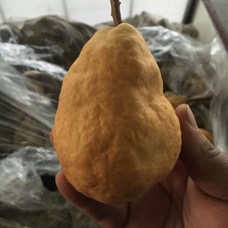 中华丑梨一件代发电商微商直播团购抖音快手