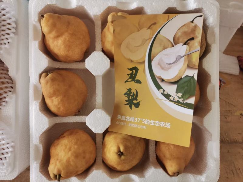 中华丑梨一件代发电商微商直播团购抖音快手