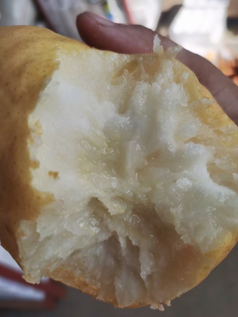 中华丑梨一件代发电商微商直播团购抖音快手