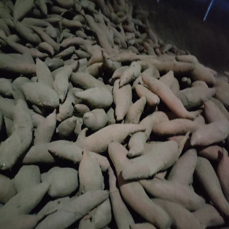 龙九红薯精品电商货