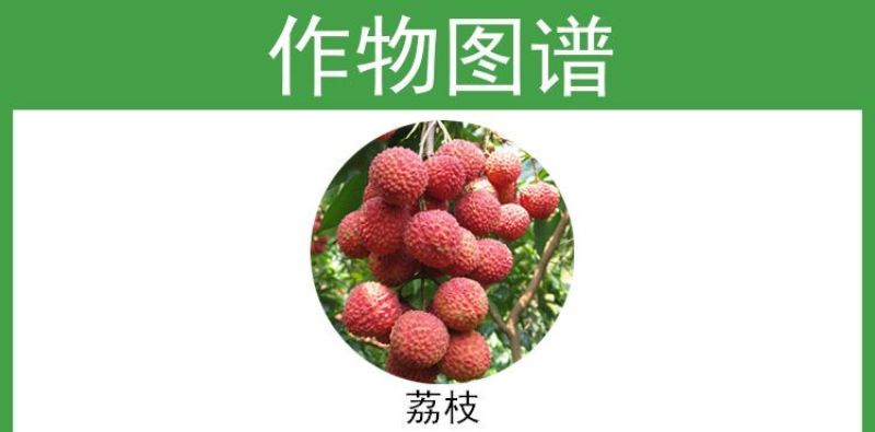 剑牌速壮25%多效唑悬浮剂果树花卉多肉矮化剂控制生长调节