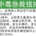 剑牌速壮25%多效唑悬浮剂果树花卉多肉矮化剂控制生长调节