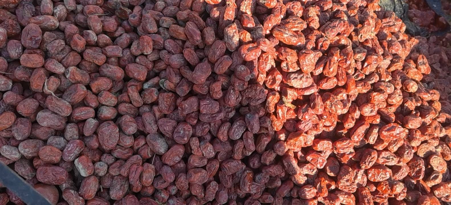 卡通风格信息图展示黑芝麻汤圆的三种禁忌搭配