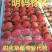 甜宝草莓大量上市中，欢迎各位老板长期合作，