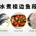 梭边鱼段鲜美无刺鱼水煮鱼段酒店火锅食材梭边鱼段商用