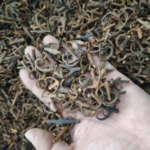 钩藤含钩率达到百分之九十五以上产地湖南永盛药业品种齐