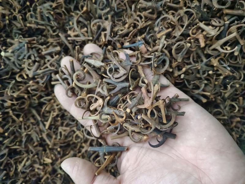 钩藤含钩率达到百分之九十五以上产地湖南永盛药业品种齐