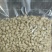 优质种子枳橙种籽积壳大叶积壳种子