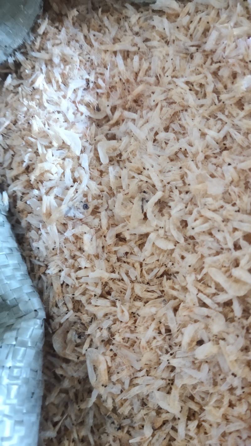 饲料级小虾米小虾虾粉