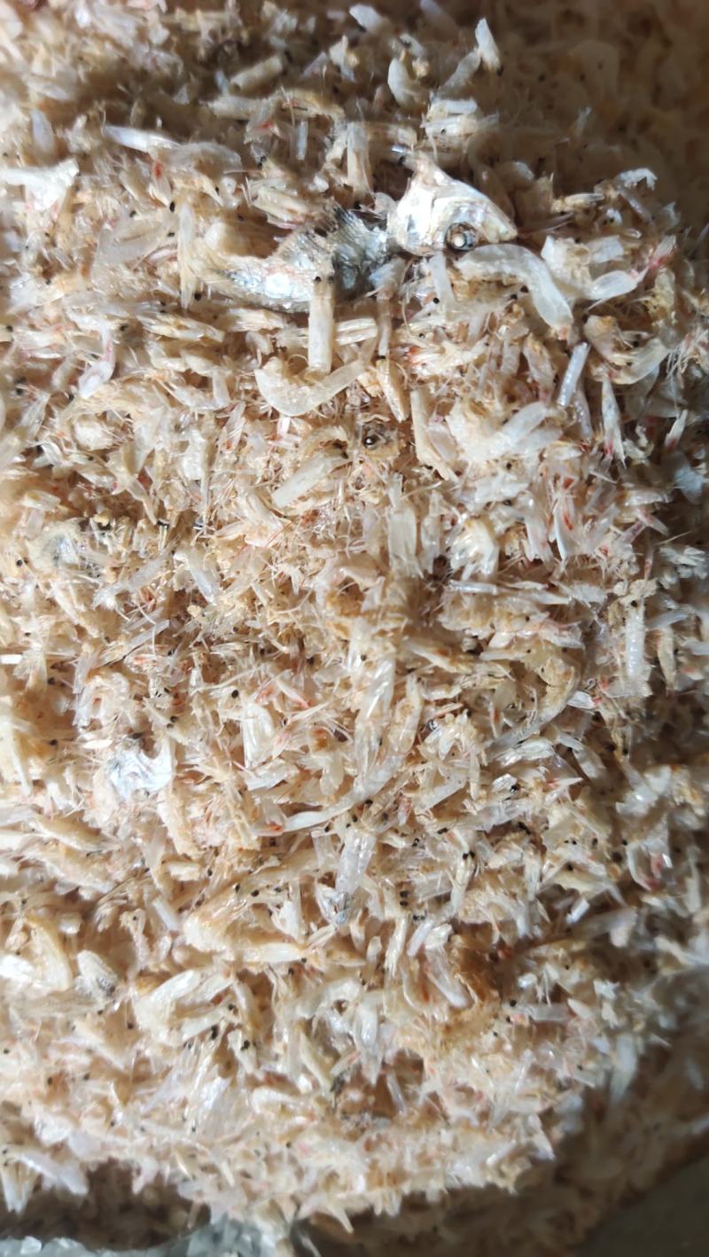 饲料级小虾米小虾虾粉