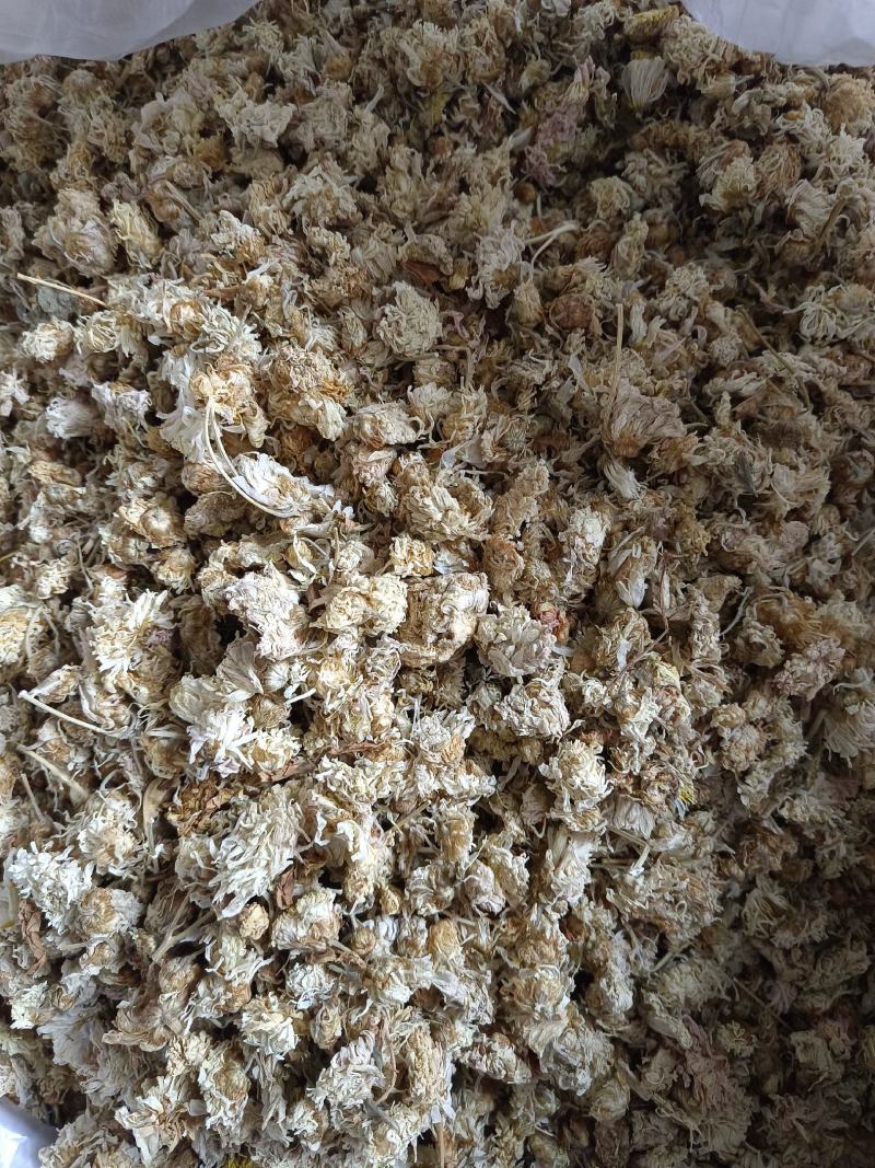 菊花药用菊花祁菊产地河北好统货永盛药业品种齐全质量好价格