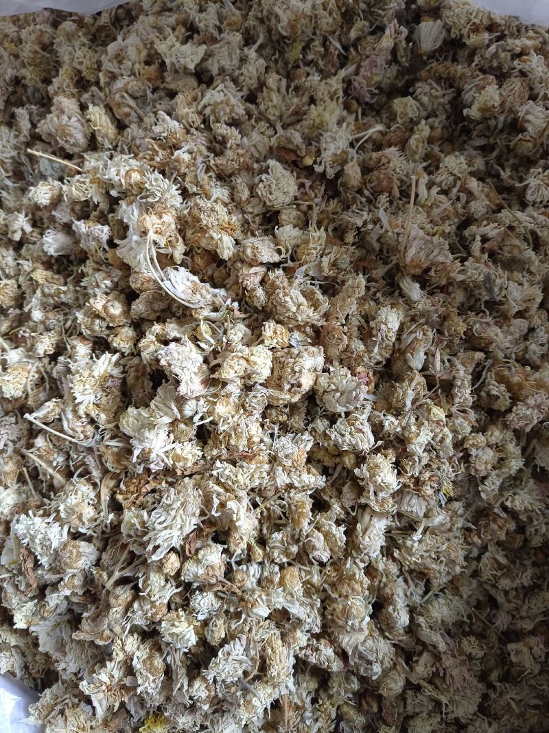 菊花药用菊花祁菊产地河北好统货永盛药业品种齐全质量好价格