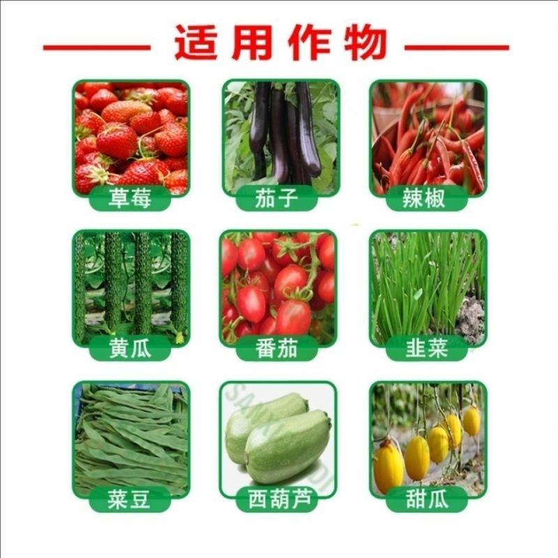 安阳全丰小能豆花生大豆矮壮素多效唑控旺增产抗倒伏生长调节