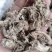 金蝉花药食同源金蝉花一手货源欢迎采购下单