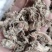 金蝉花药食同源金蝉花一手货源欢迎采购下单