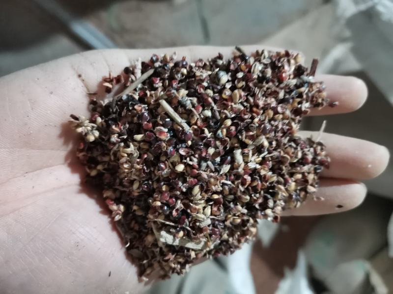 高粱壳，豌豆皮渣，牛，养饲料，