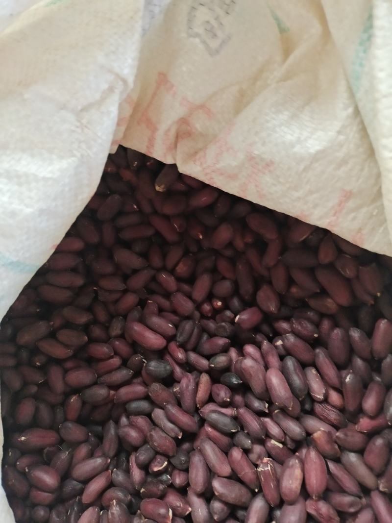 【推荐】黑花生米，产地一手货源，质量保证，欢迎进店联系