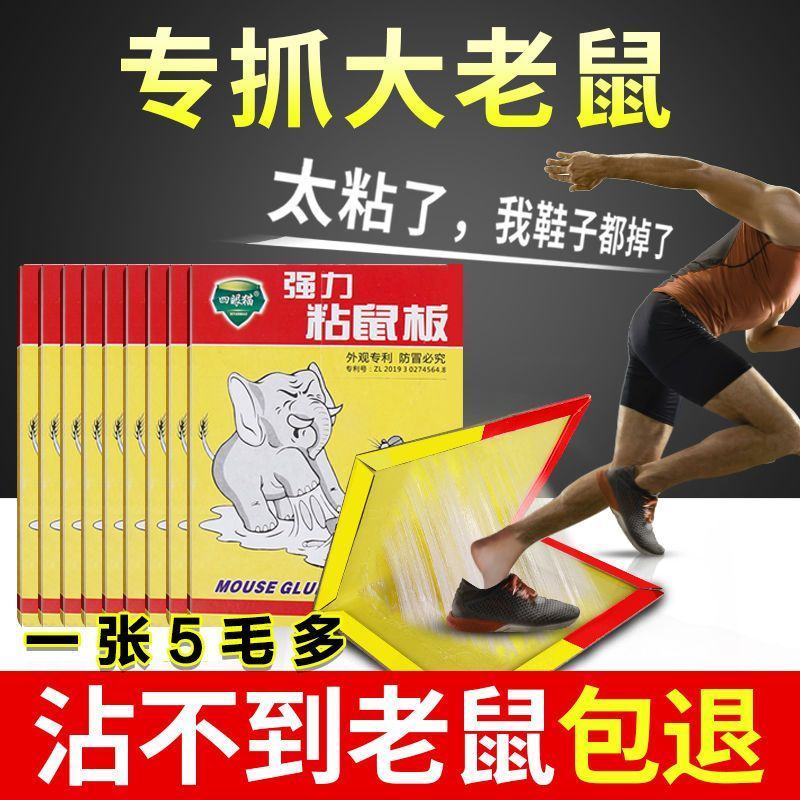 老鼠贴强力灭鼠板粘鼠板捕鼠克星神器家用一窝端