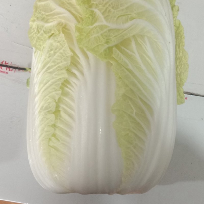 精品矮颗娃娃菜，半毛菜，净菜加工，全国接单，全国发货。