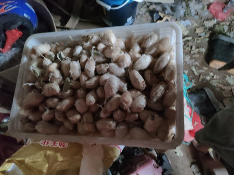 瓦房店许屯