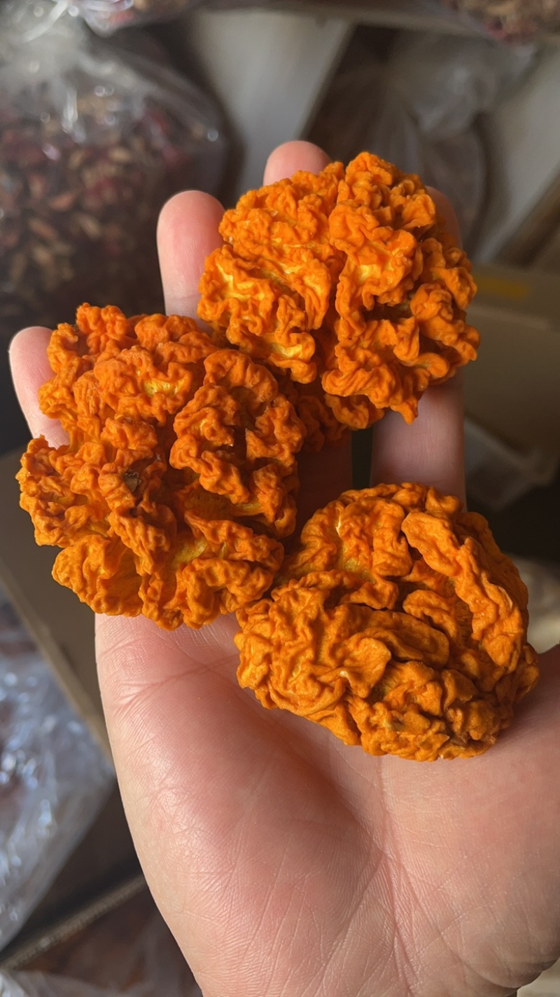 椴木金耳金耳干货云南特产金耳