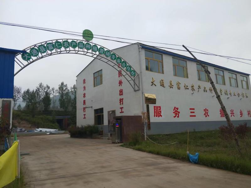 青海青薯9号土豆大量上市，品质保证，量大从优，欢迎采购