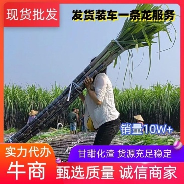 广西黑皮甘蔗产地批发诚信为本有便宜回程车
