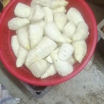 2025冬笋肉开始供应，长期有货，大个笋肉，