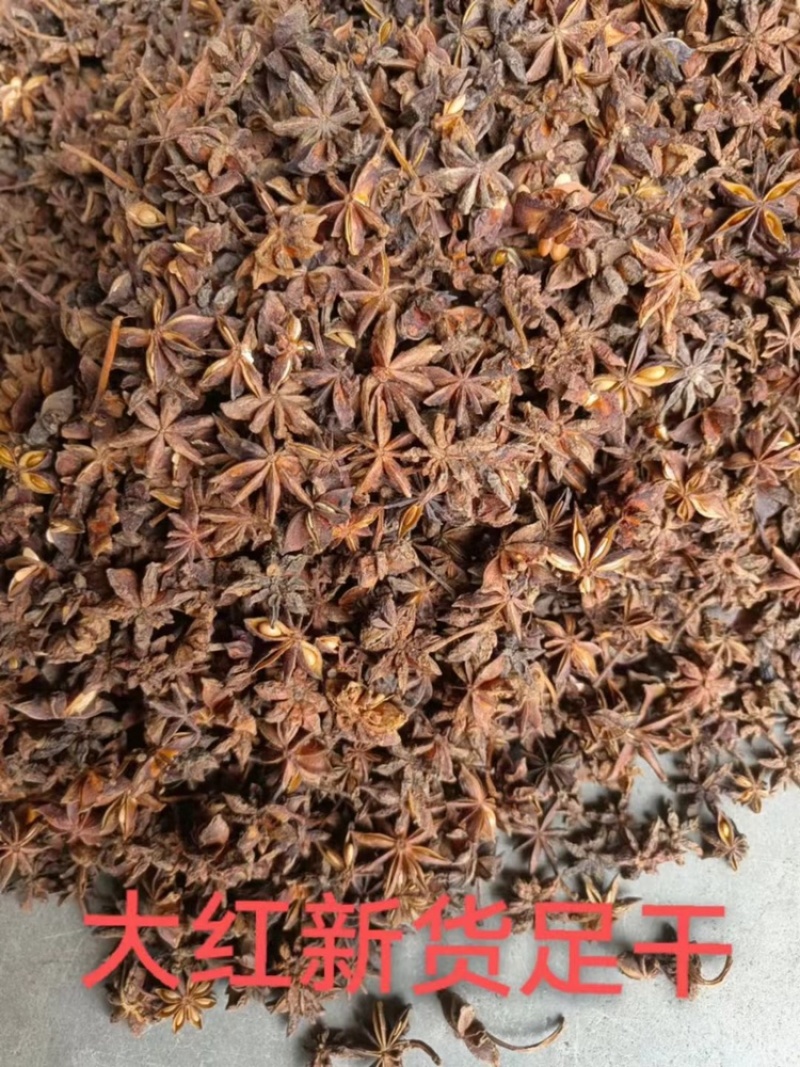 广西精品大红八角无硫烘干卤料大料各种规格供应