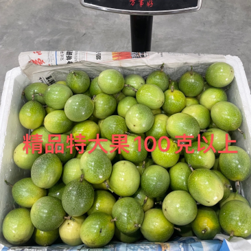 海南百香果钦蜜9号纯甜无酸大量代办供应市场档口超市
