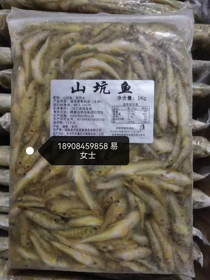 山坑鱼，山根鱼，小黄鱼，一手货源
