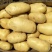 【优质土豆】土豆黄心土豆荷兰十五土豆产地大量供应