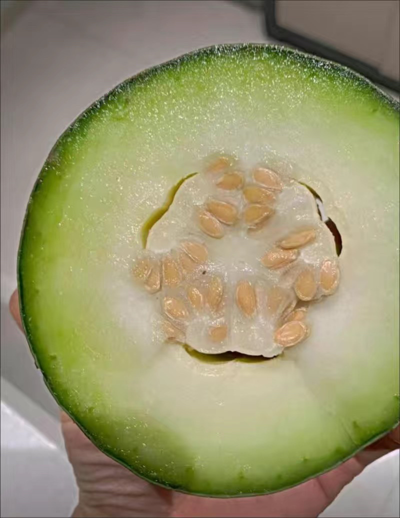小冬瓜毛节瓜批发超市买菜当季新鲜包邮包售后