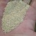 稻壳粉，砻糠，烘干稻壳粉厂家货欢迎电话咨询下单