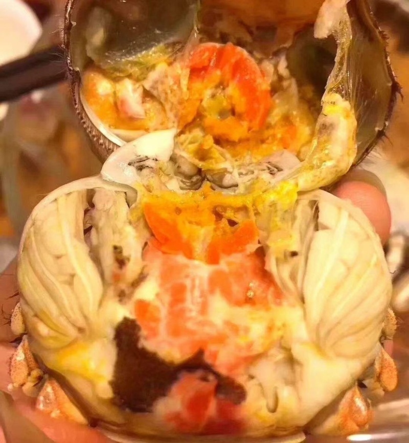 六月黄蟹肥度好盘锦产地直发肥度好满黄每天现货供应